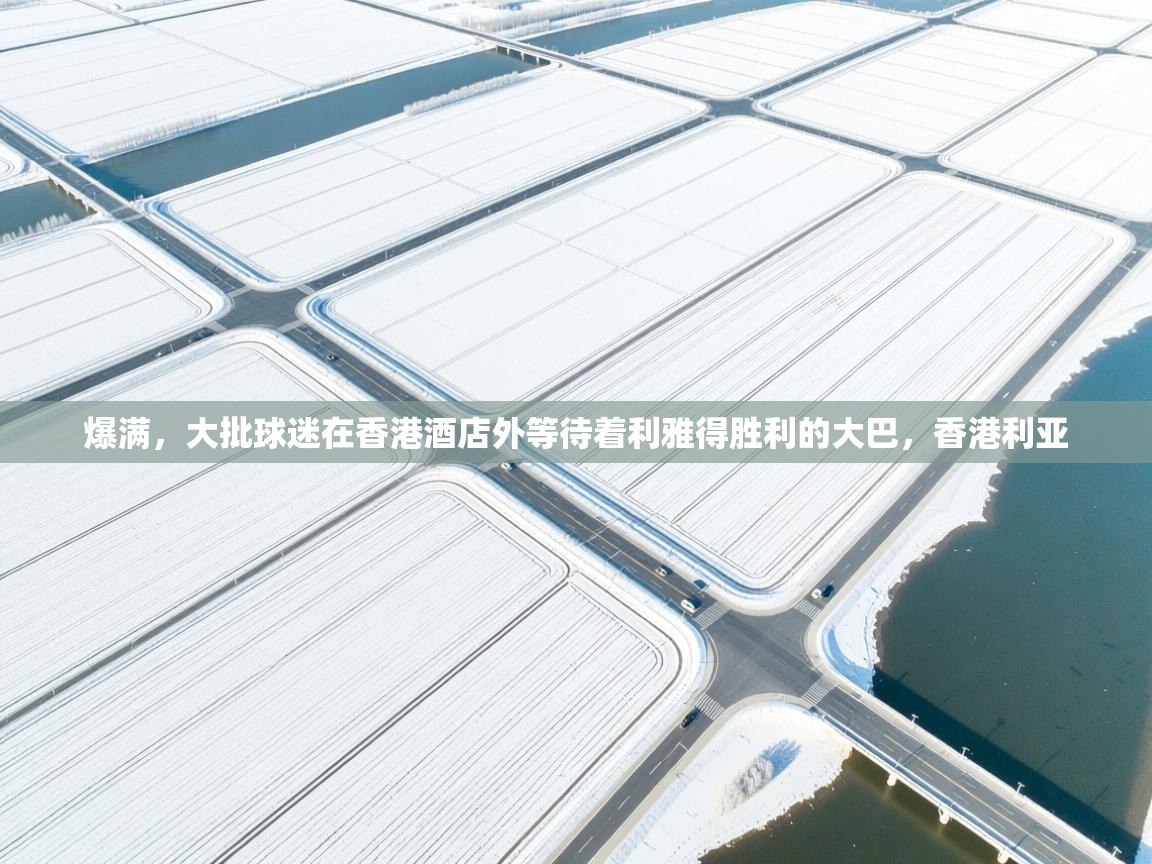 爱游戏影视-爆满，大批球迷在香港酒店外等待着利雅得胜利的大巴，香港利亚  第3张