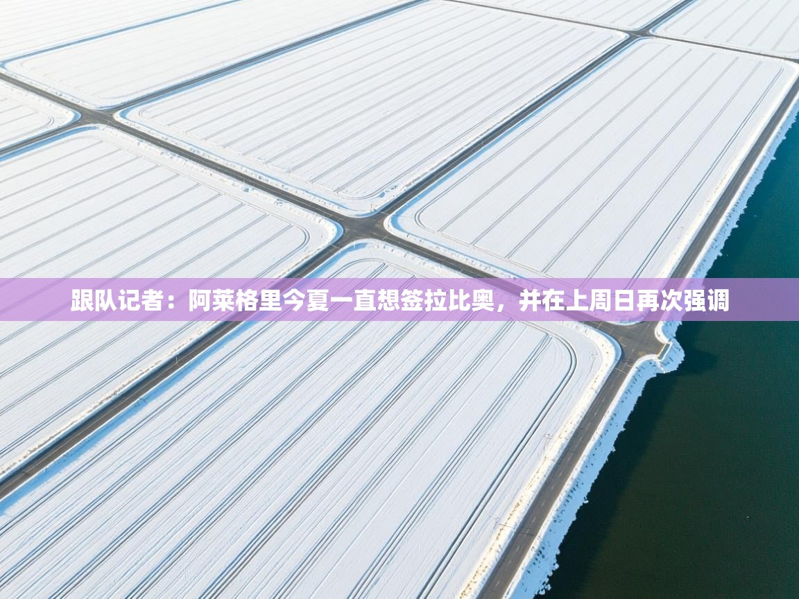 爱游戏ayx官网下载-跟队记者:阿莱格里今夏一直想签拉比奥,并在上周日再次强调 第3张