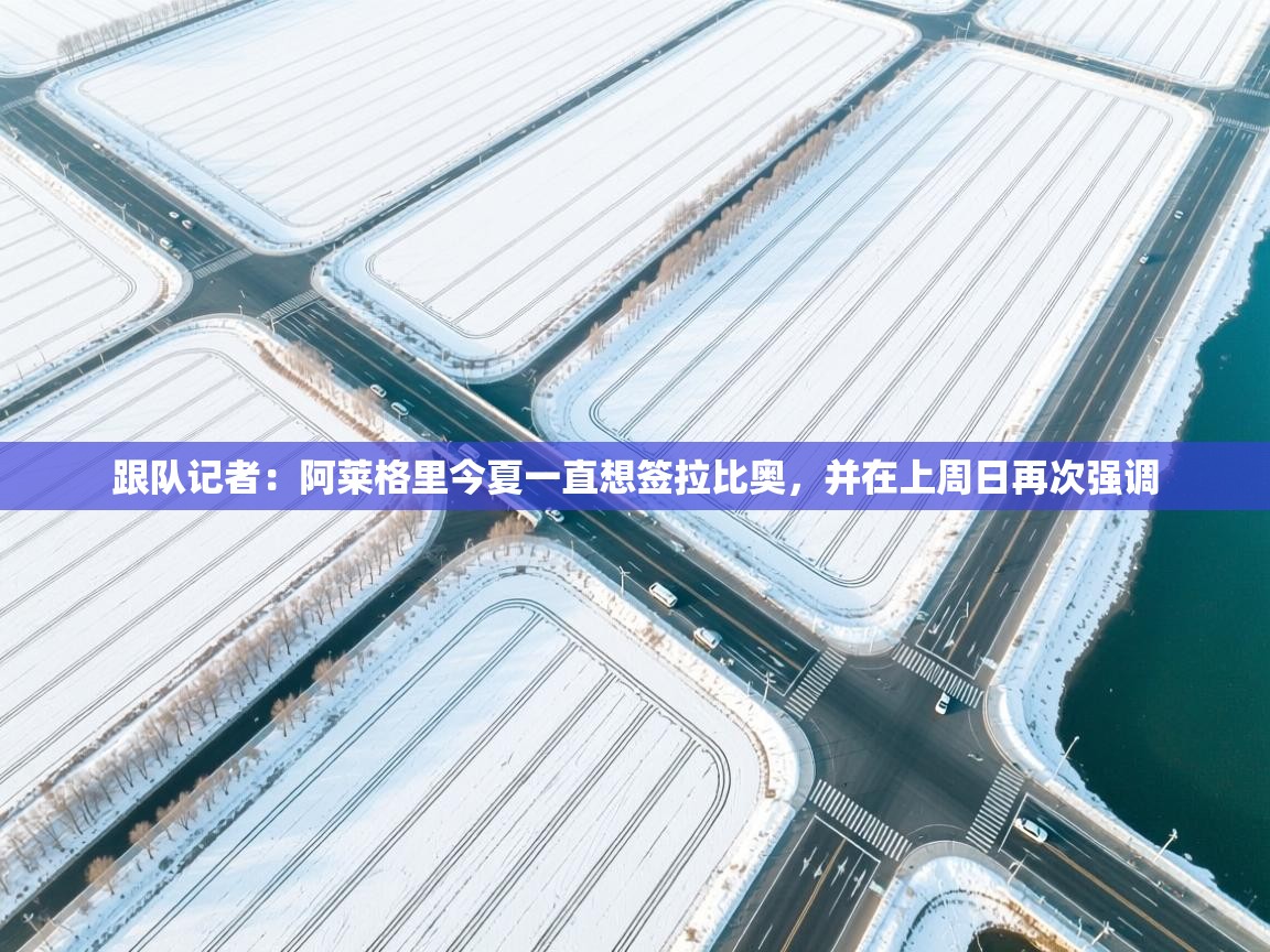 爱游戏ayx官网下载-跟队记者:阿莱格里今夏一直想签拉比奥,并在上周日再次强调 第4张