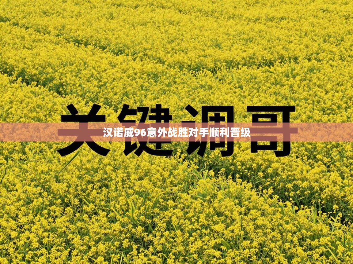 爱游戏体育下载-汉诺威96意外战胜对手顺利晋级  第2张