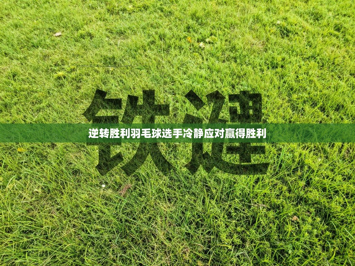 爱游戏体育娱乐马竞赞助商-逆转胜利羽毛球选手冷静应对赢得胜利  第2张