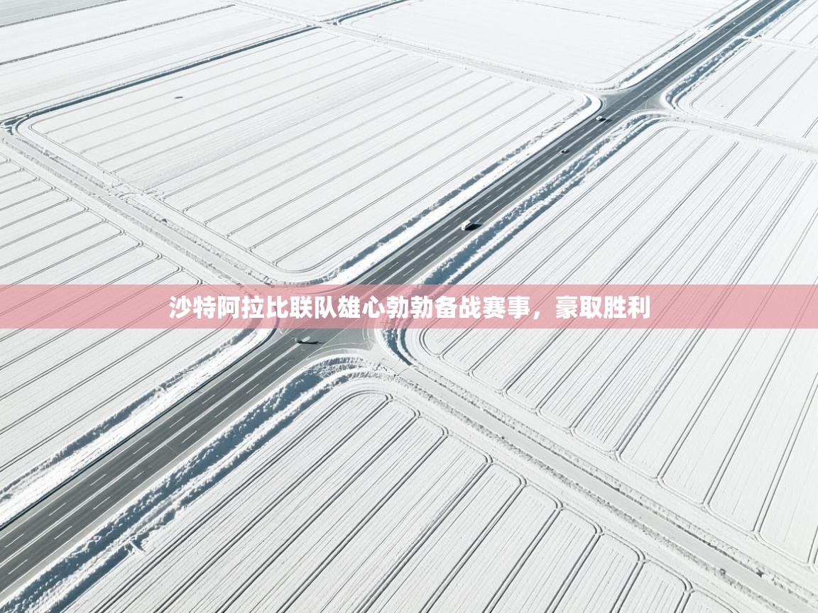 爱游戏娱乐app下载-沙特阿拉比联队雄心勃勃备战赛事，豪取胜利  第4张