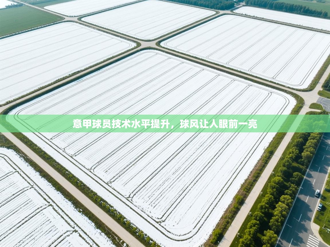 爱游戏体育在线登录-意甲球员技术水平提升，球风让人眼前一亮  第3张