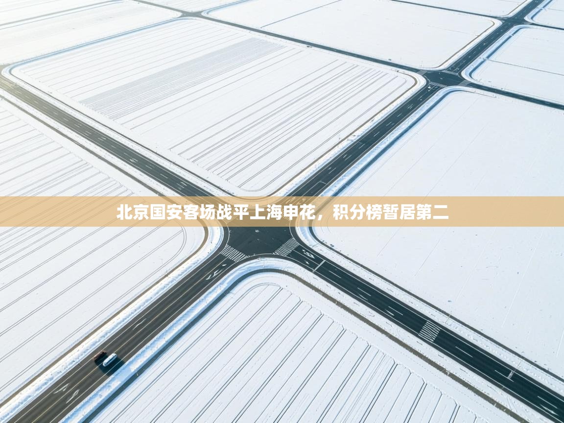 爱游戏在线官网-北京国安客场战平上海申花,积分榜暂居第二 第1张