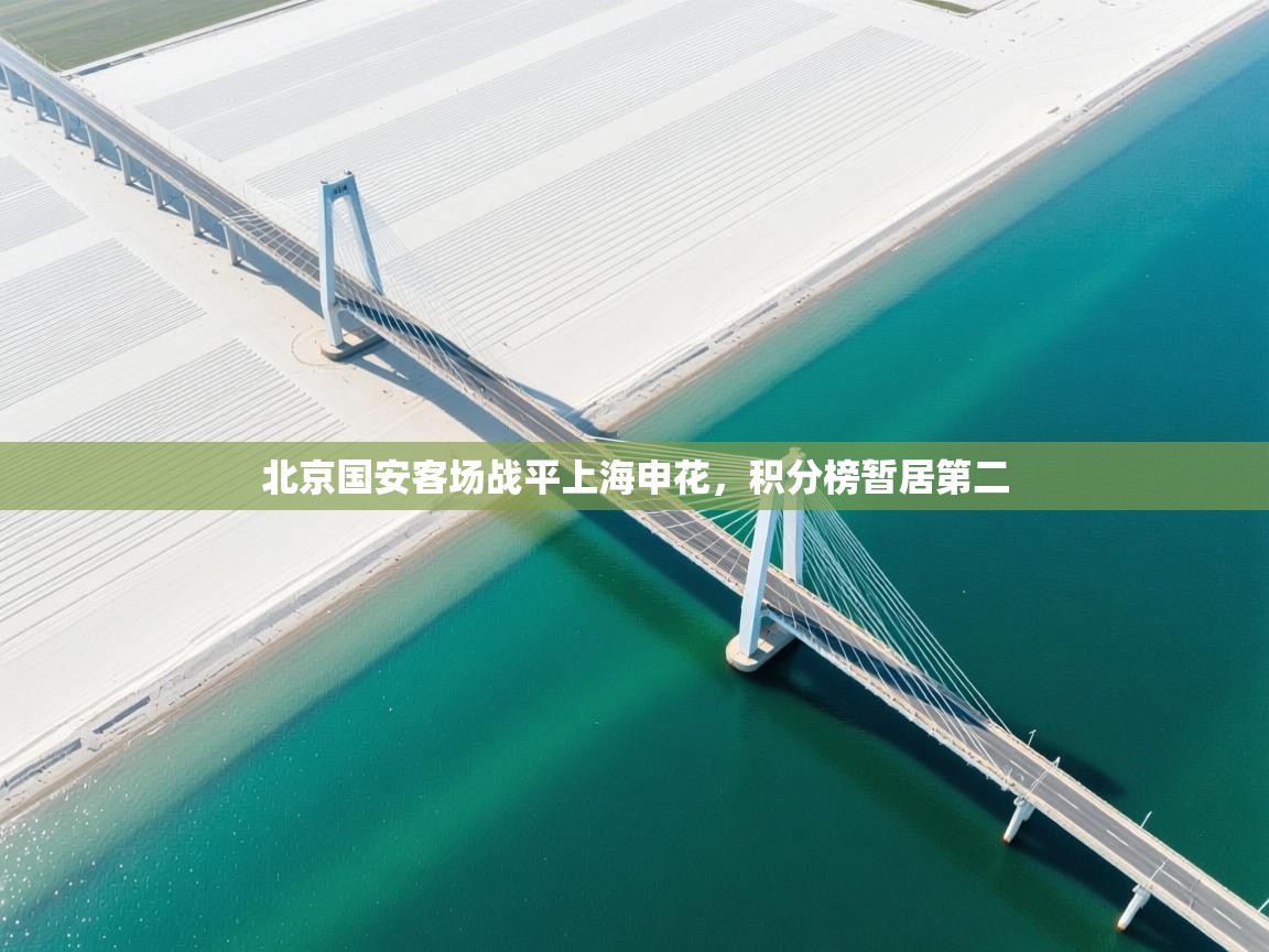 爱游戏在线官网-北京国安客场战平上海申花,积分榜暂居第二 第2张