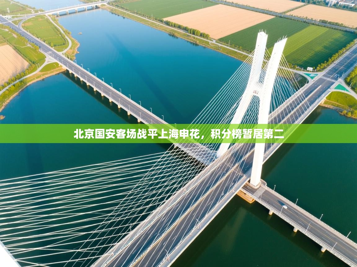 爱游戏在线官网-北京国安客场战平上海申花,积分榜暂居第二 第3张