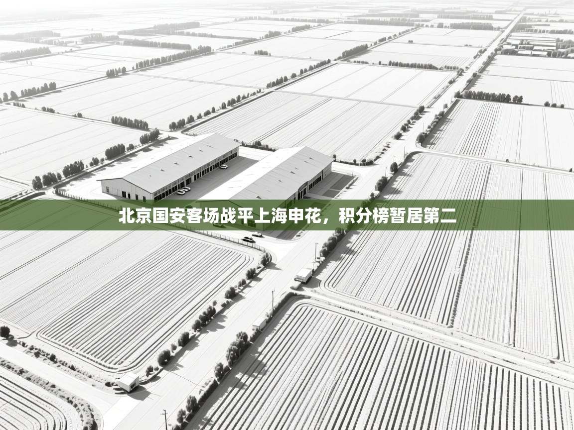 爱游戏在线官网-北京国安客场战平上海申花,积分榜暂居第二 第4张