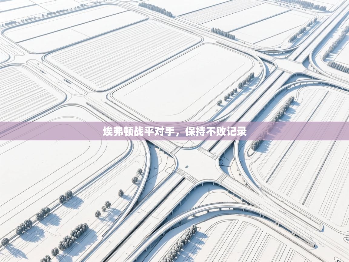 爱游戏官网-埃弗顿战平对手,保持不败记录 第1张