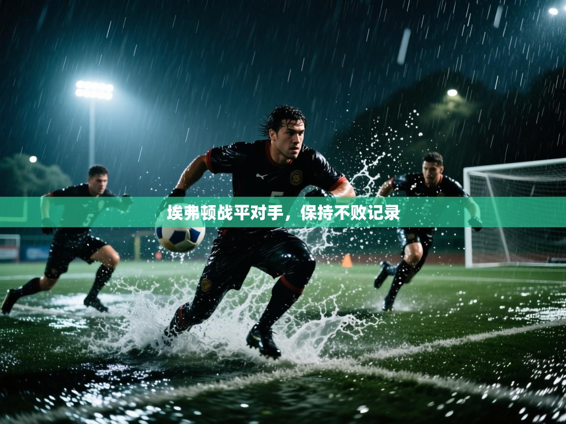 爱游戏官网-埃弗顿战平对手,保持不败记录 第2张
